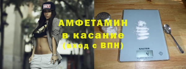 крисы Аркадак